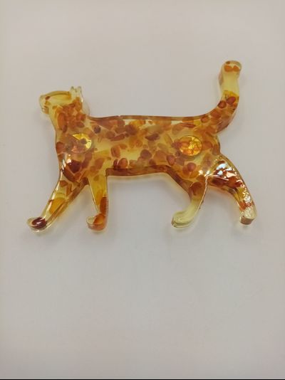 котик магнит