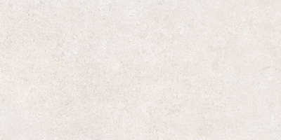 SandStone, 60х120 см, керамогранит, Белый Матовый R10A Ректификат, K948597R