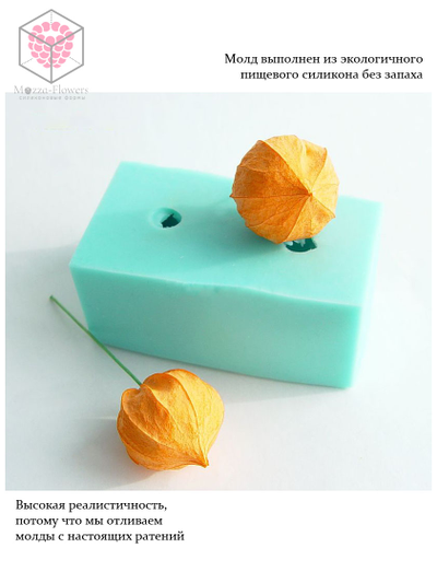 Силиконовый молд "Физалис"