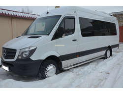 Пороги с накладным листом	d53 для Mercedes-Benz Sprinter (2012-2017)