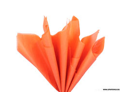 Бумага тишью 76х50 см 10 листов Оранжевый