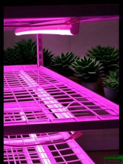 Тележка тролль размеры,тролль тележка для рассады,тележка для растений тролль,тележка тролль купить