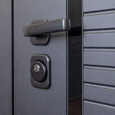 Стальная дверь   Dominica с зеркалом. Заказная модель.