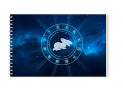 Альбом год Кролика №9