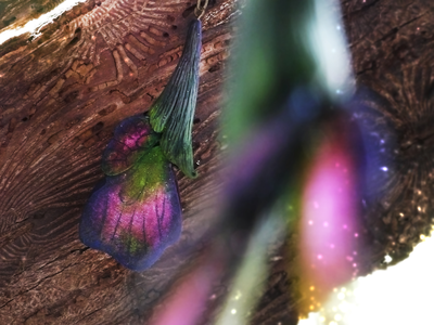 Волшебные серьги "Крылышки Луговых Фей" (необычные серьги в эльфийском стиле)