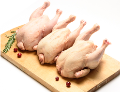 Цыпленок корнишон фермерский купить с доставкой на дом