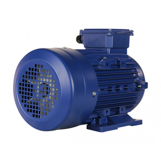 Электродвигатель 5АИ 100S4 (3 кВт) IM 1081