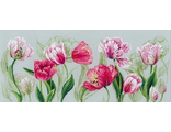 Весенние тюльпаны 100/052