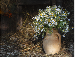 Обогреватель-картина "Кувшин с ромашками"