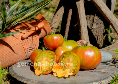 Томат Медная река (Copper River/Купер Ривер), 10 шт.