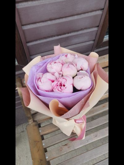 7 розовых пионов