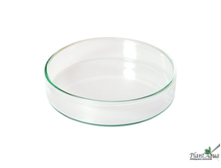 SwetAqua Shrimp Feeding - Кормушка для креветок стеклянная 60мм