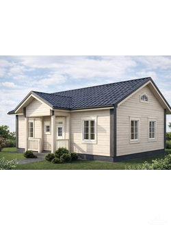 odnoetazhnie-doma-iz-profilirovannogo-drusa-drevesnyi