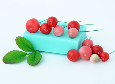 Набор молдов "Брусника, черника, морошка"