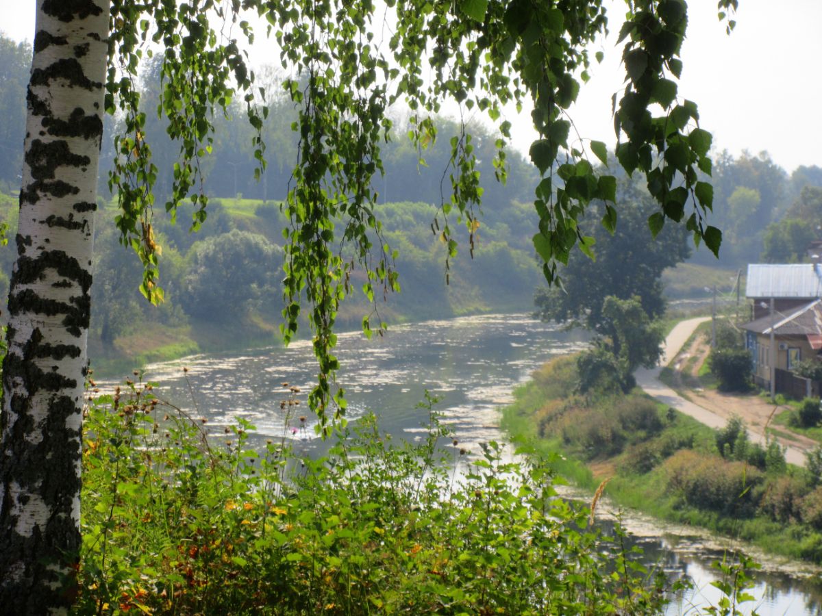 Река Кашинка