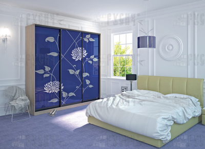 Шкаф-купе Ариадна 027