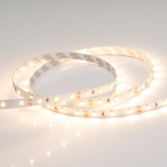 RT 2-5000 12V (3528, 60 LED/m, LUX)