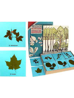 Гербарий "Растительные сообщества"