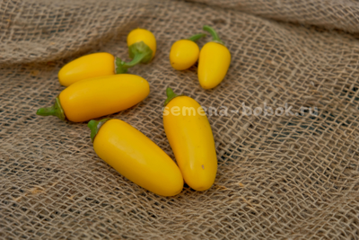 Перец острый Jalapeno NuMex Lemon Spice (Халапеньо Ньюмекс Лимон Спайс), 10 шт