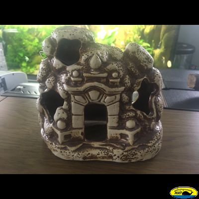 98133В Парадное