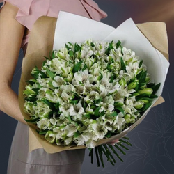 Классический букет из 25 белых альстромерий