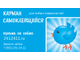 карман, А4, купить, самоклеящийся, для стенда, на дверь, для любых, поверхностей, цена, видео, оптом
