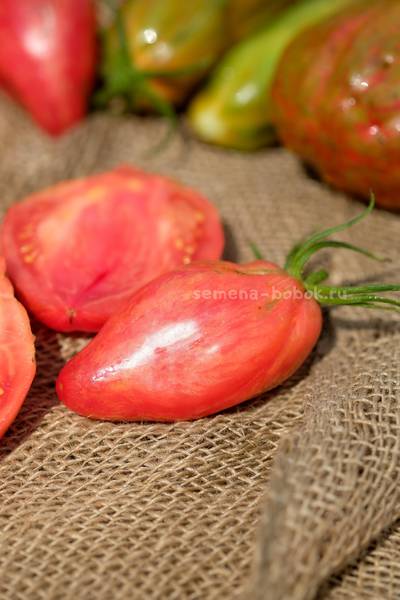 Томат Полосатый Тюльпан, 5 шт