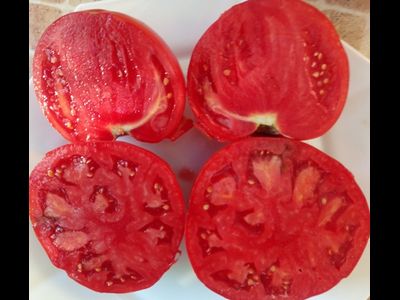 Томат Хелен немецкий (Helen's German)