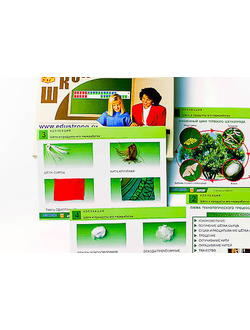 Коллекция "Шелк и продукты его переработки" (средн. шк.)