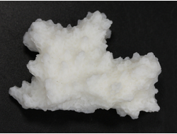 Коралл белый, коллекционный образец, Китай (40*29*18 мм, 9 г) №37629