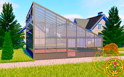 Односкатная зимняя теплица ДЖЕЙМС размером 10000 Х 8000 мм