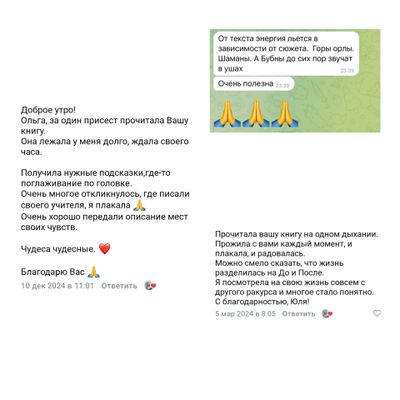 Ольга Николаева. Мой неповторимый путь. Откровения шамана.