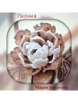 Платные мастер-классы