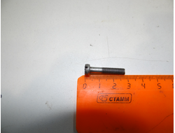 Болт М 5 (для двухскоростных моторов)