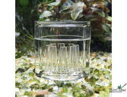 Ловушка для планарий SwetAqua Нано