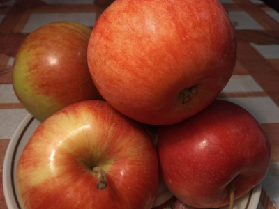 Свежевыжатый яблочный сок 100% | ферма СытникЪ