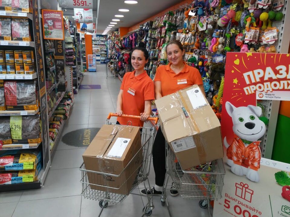 4 лапы мытищи. лапа зоомагазин. четыре лапы волгоград акварель. четыре лапы магазин четыре лапы курск. четыре лапы европолис.