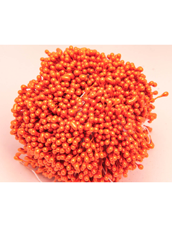 Тычинки капельки около 340 нитей , двусторонние , цвет оранжевый