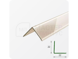 УГОЛ ДЕКОРАТИВНЫЙ 10Х10 УП 01-27.2700.501Л СЕРЕБРО (матовый)