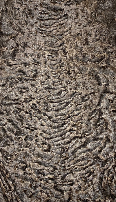 Каракуль Сур