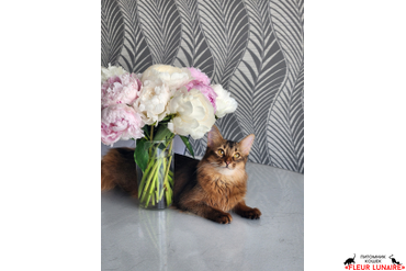 Выпускница Фокс.5