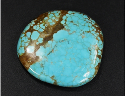 Бирюза, полировка плоская, США, Невада (29*28*5 мм, 7,1 г) №37846