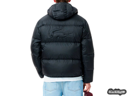 Пуховик Lacoste Outlet Black (S, M, L, XL)