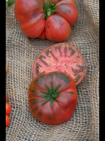 Томат Dwarf Tasty Wine (Гном Вкусное Вино), 10 шт