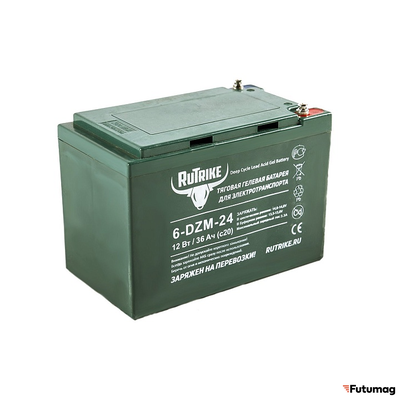 Тяговый аккумулятор RuTrike 6-DZM-24 (12V24A/H C2)