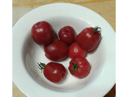 Семена томата Овита