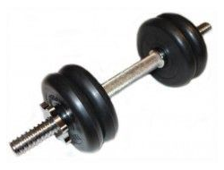 Гантель разборная 10 кг  TITAN Barbell