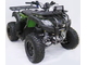 Квадроцикл MOTAX ATV Grizlik 200 LUX низкая цена