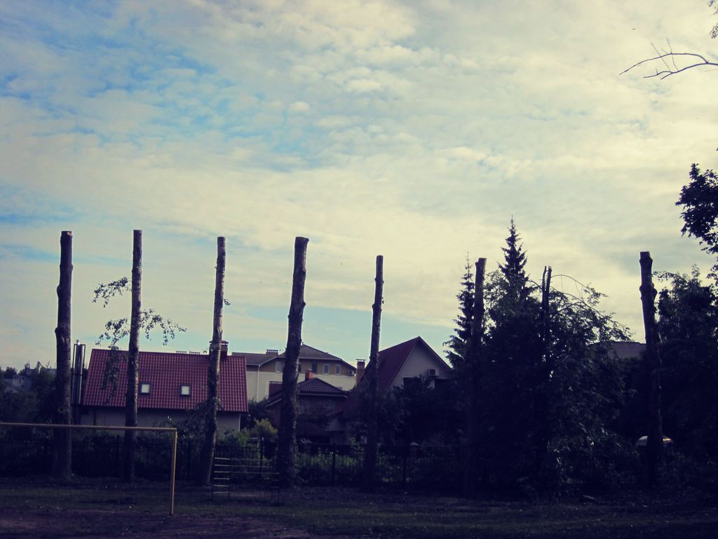 Обрезка и кронирование деревьев