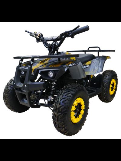 Детский квадроцикл MOTAX Mini Grizlik X-16 E1000 (BW)